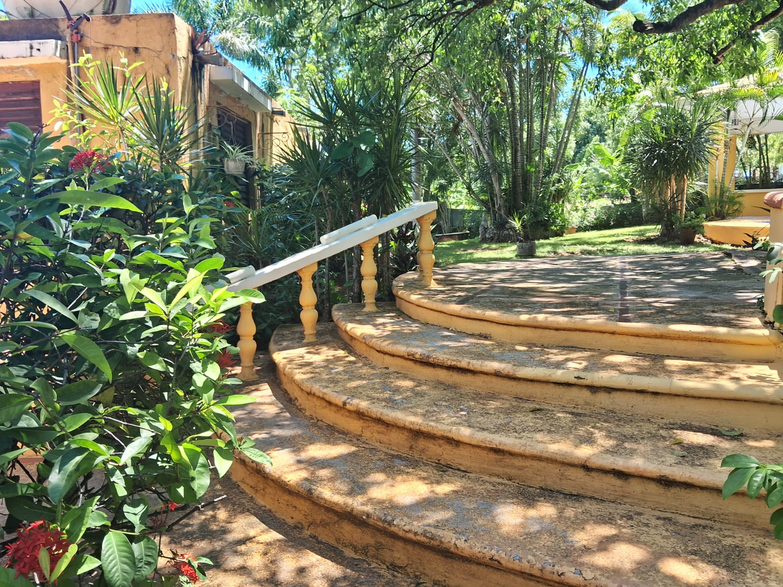 WhatsApp Image 2025-05-17 at 3.38.38 PM (1)