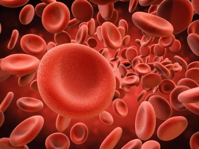 Prevenir-anemia-falciforme