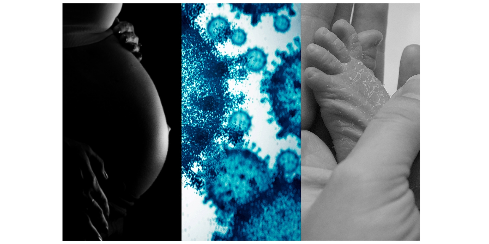 Se reportan muertes infantiles y maternas, así como nuevos casos de dengue en SE-29