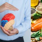 ¿Qué le sucede al cerebro cuando no se consume suficiente proteína?