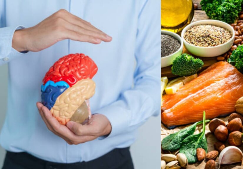 ¿Qué le sucede al cerebro cuando no se consume suficiente proteína?