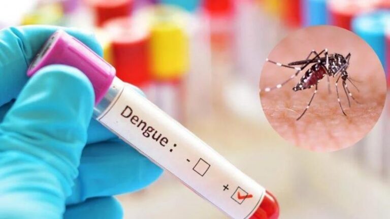 Ministerio de Salud tres nuevos casos de dengue en en una semana