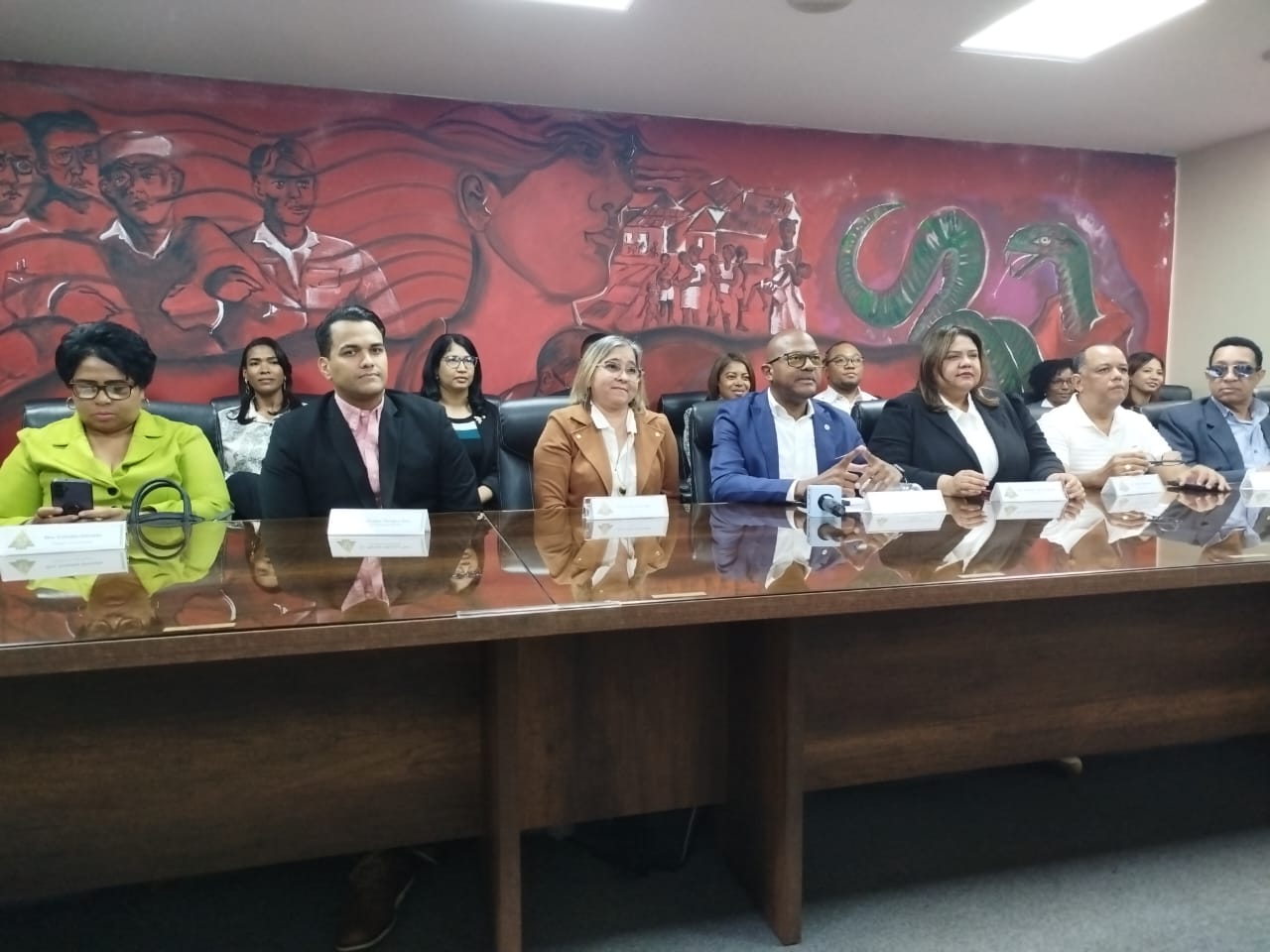 Colegio Médico Dominicano (CMD)