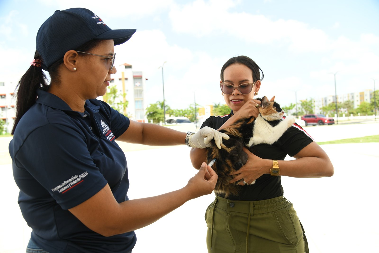 Ministerio de Salud vacuna más de cien perros y gatos durante jornada antirrábica en Ciudad Juan Bosch