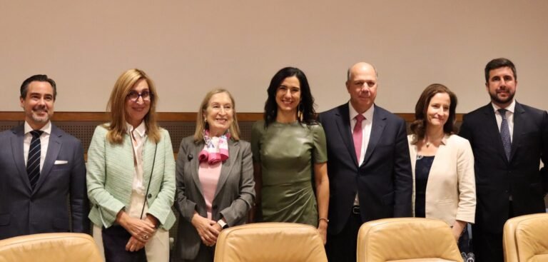 CEAPI y PNUD reivindican una transición energética justa como factor de competitividad