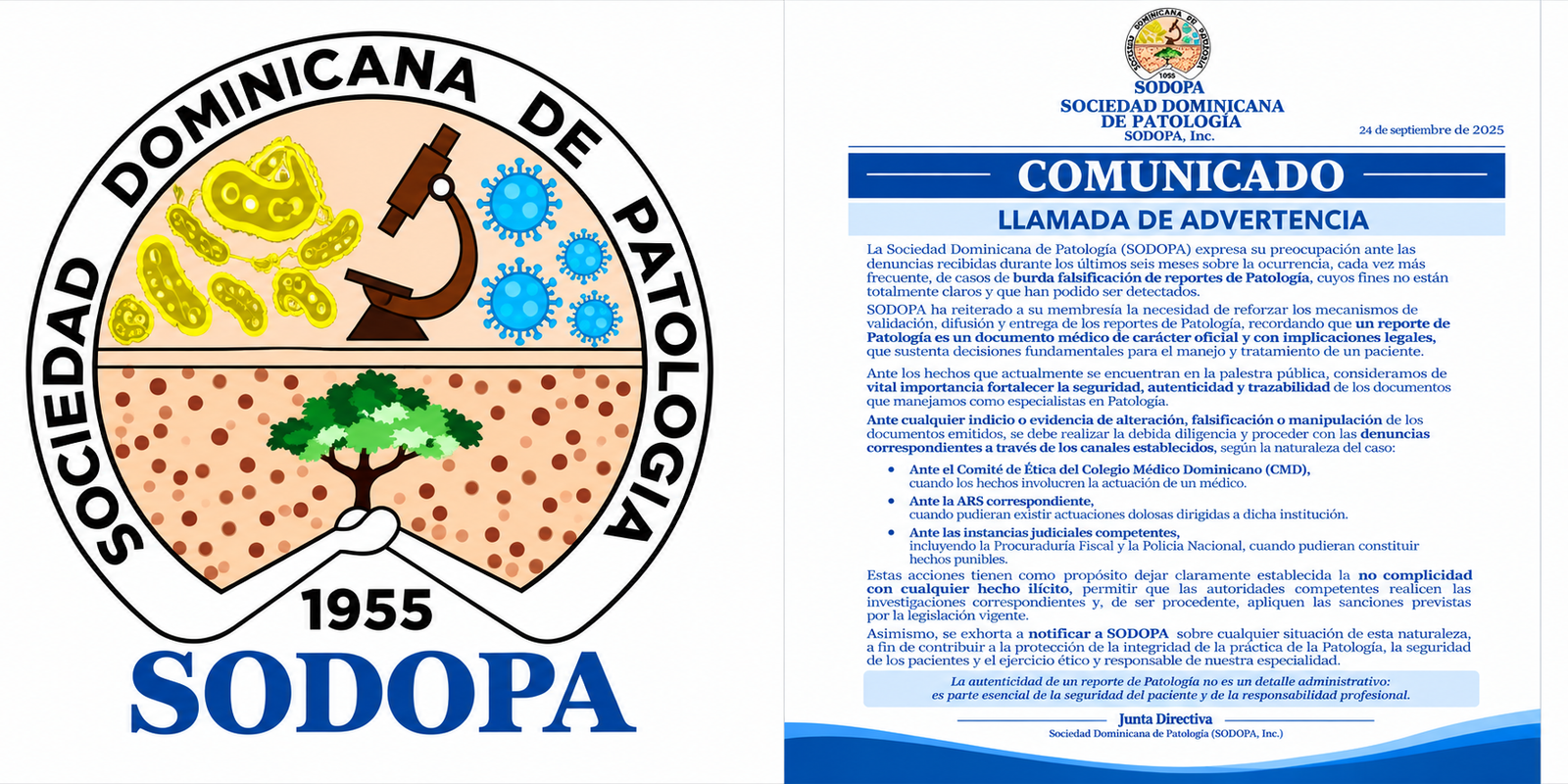 Sociedad Patología denuncia falsificación de "reportes patológicos"