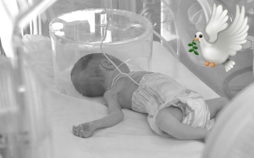 Reportan 40 defunciones infantiles en siete días