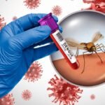 MSP reporta 9 casos de dengue