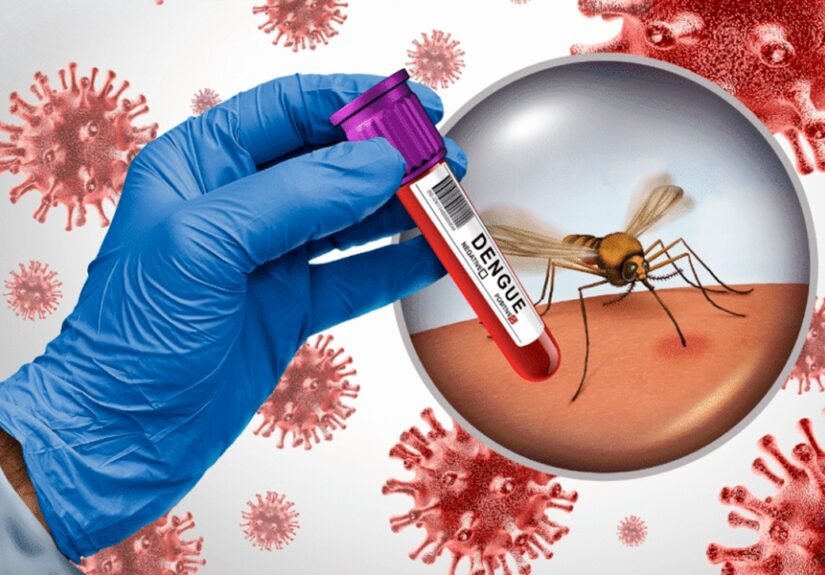 MSP reporta 9 casos de dengue