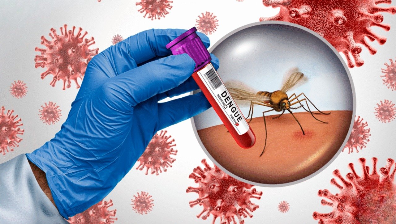 MSP reporta 9 casos de dengue
